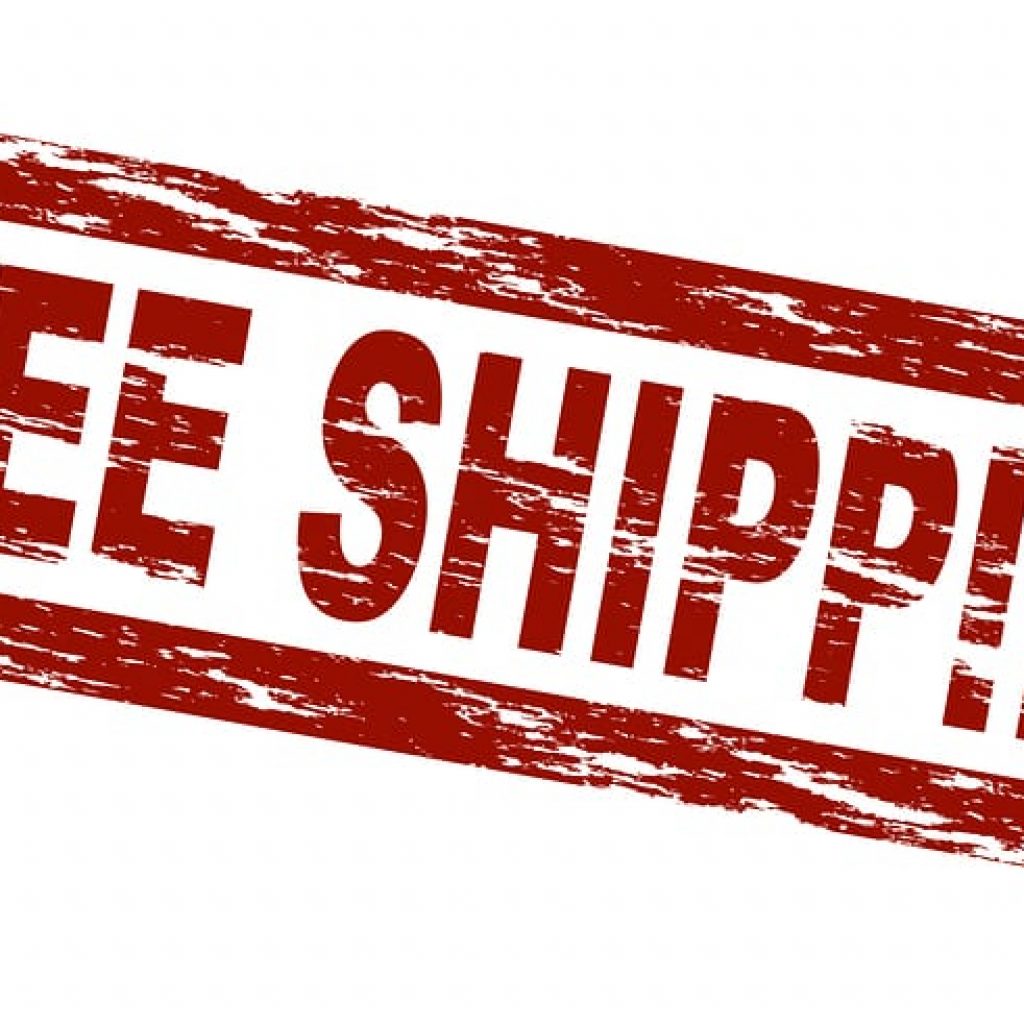 National Free Shipping Day, free shipping day, Free Shipping Day Statistics, free shipping facts, free shipping holiday,